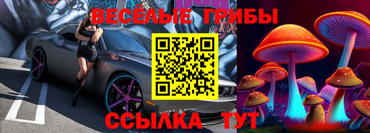 Псилоцибиновые грибы MAGIC MUSHROOMS Симферополь