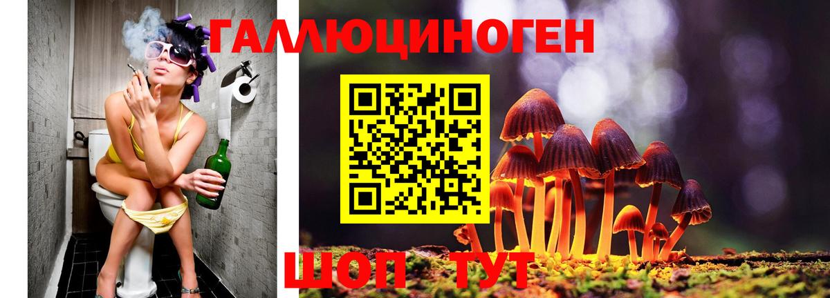 Галлюциногенные грибы ЛСД  Галлюциногенные грибы Psilocybine cubensis  Симферополь  Вход с VPN 